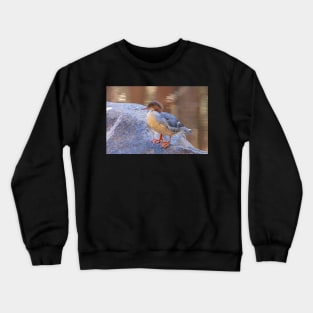 Merganser Crewneck Sweatshirt